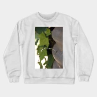 Leaking -  Adelaide Hills - Fleurieu Peninsula by South Australian artist Avril Thomas Crewneck Sweatshirt